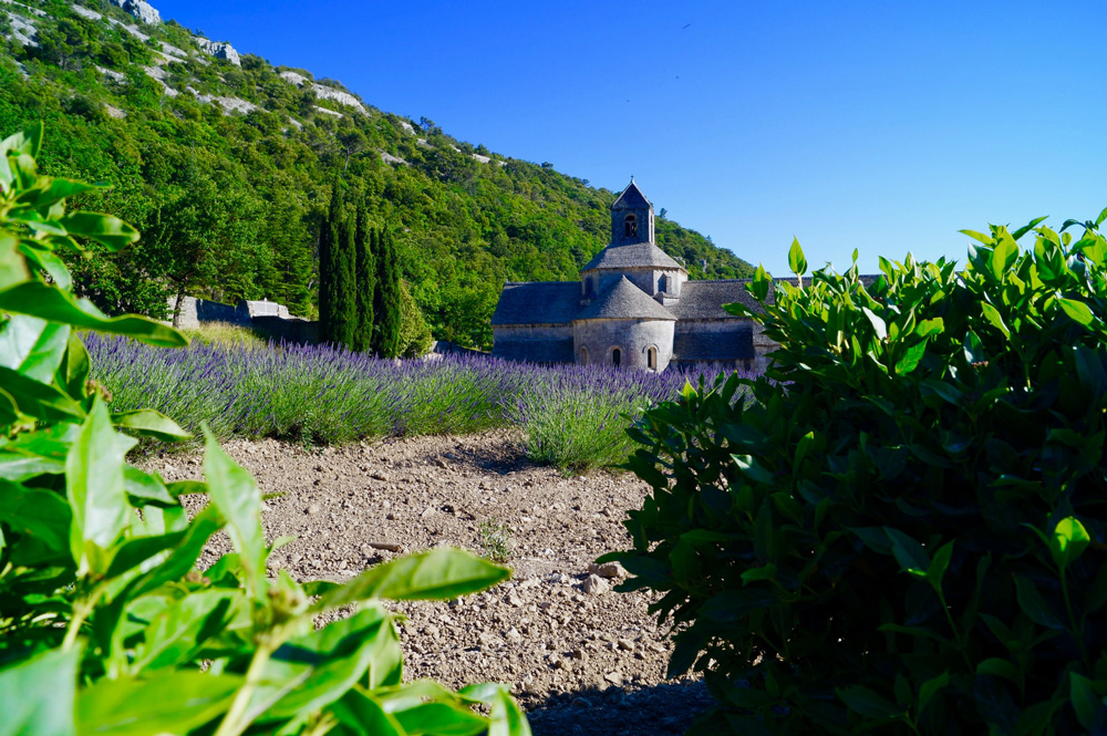 Les Pays de la Provence Verte  traditions et sites culturels du Var